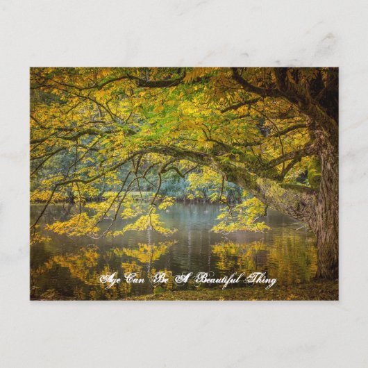 Alter kann eine schöne Sache sein Postkarte (Vorderseite)