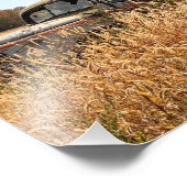 Alter LKW auf dem Herbstfeld Fotodruck (Ecke)