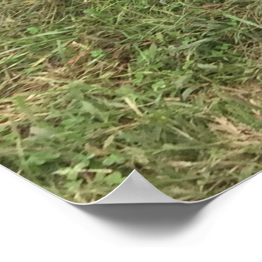 Alter LKW Poster (Ecke)