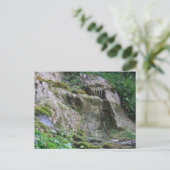 Alter Mann des Berges Postkarte (Stehend Vorderseite)