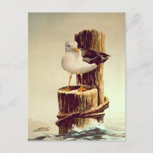 ALTER MANN SEAGULL VON SHARON SHARPE POSTKARTE (Vorderseite)