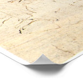 Alter Mann und Wasserskizze von Leonardo da Vinci Poster (Ecke)