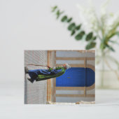 Alter Marokkaner Postkarte (Stehend Vorderseite)