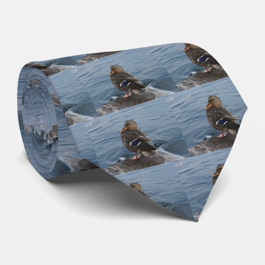 Alter McDonald hatte eine Ente ........... Krawatte (Gerollt)