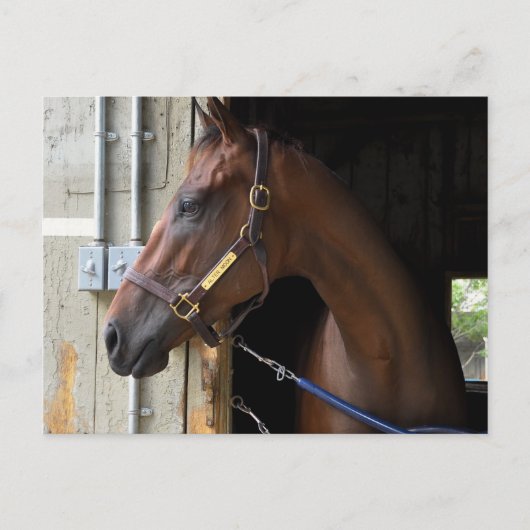 Alter Moon Postkarte (Vorderseite)