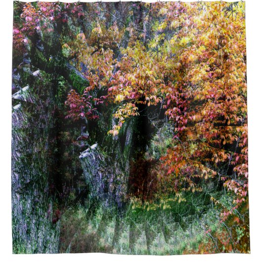 Alter Oakkbaum....... Duschvorhang (Vorderseite)