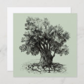 Alter Olivenbaum (Vorne/Hinten)