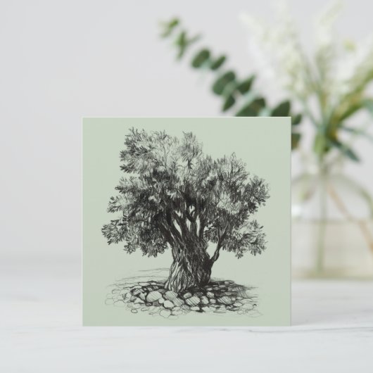 Alter Olivenbaum (Stehend Vorderseite)