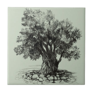 Alter Olivenbaum Fliese