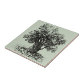 Alter Olivenbaum Fliese (Seite)