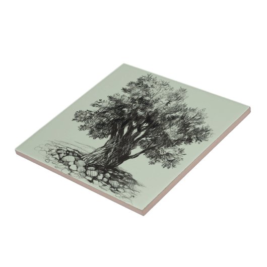 Alter Olivenbaum Fliese (Seite)