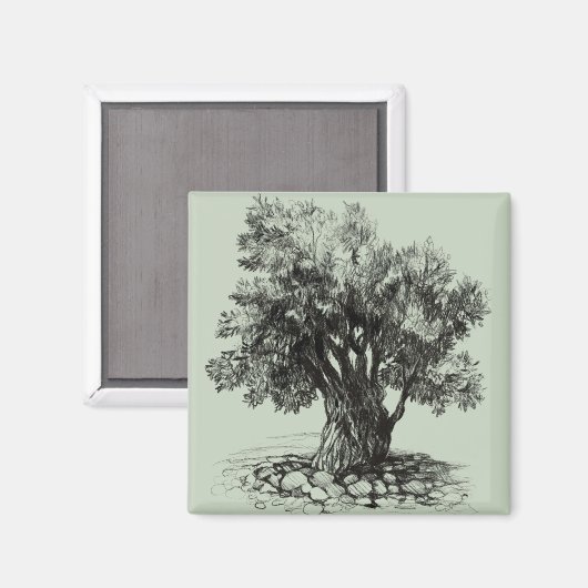 Alter Olivenbaum Magnet (Vorderseite/Rückseite)