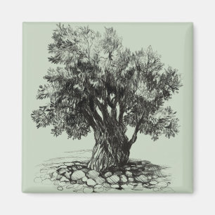 Alter Olivenbaum Magnet