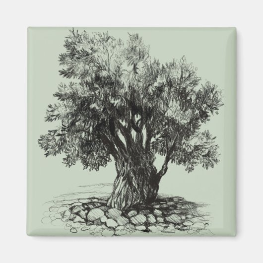 Alter Olivenbaum Magnet (Vorne)