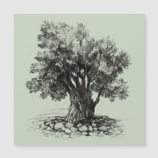 Alter Olivenbaum Magnetkarte