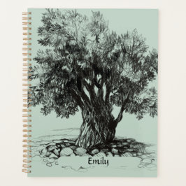 Alter Olivenbaum Planer