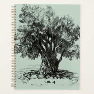 Alter Olivenbaum Planer