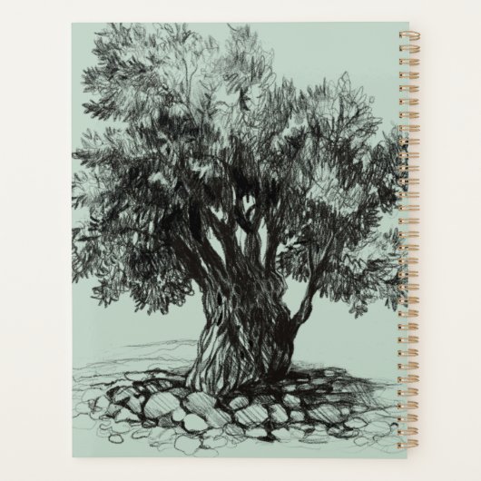 Alter Olivenbaum Planer (Rückseite)