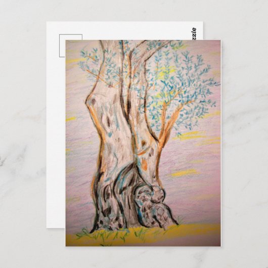 Alter Olivenbaum Postkarte (Vorne/Hinten)