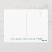 Alter Olivenbaum Postkarte (Rückseite)