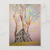 Alter Olivenbaum Postkarte (Vorderseite)