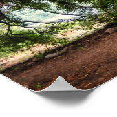 Alter Olivenbaum rustikal Poster (Ecke)