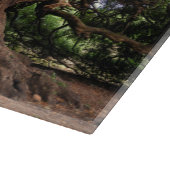 Alter Olivenbaum rustikal Schneidebrett (Ecke)