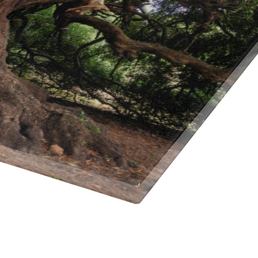 Alter Olivenbaum rustikal Schneidebrett (Ecke)