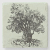 Alter Olivenbaum Steinuntersetzer (Vorderseite)