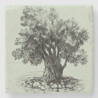 Alter Olivenbaum Steinuntersetzer