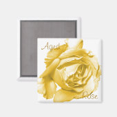 Alter Rose Square Magnet (Vorderseite/Rückseite)