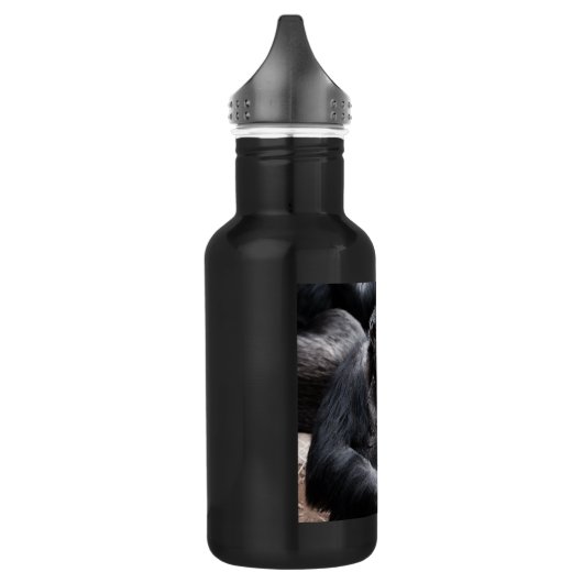 Alter Schimpanze Trinkflasche (Links)