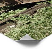 Alter schmalspuriger Motor Poster (Ecke)