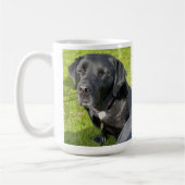 Alter schwarzer Labrador Retriever Hund Kaffeetasse (Links)