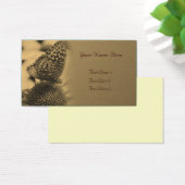 Alter Sepia Schmetterling auf Blume Natur (Schreibtisch)