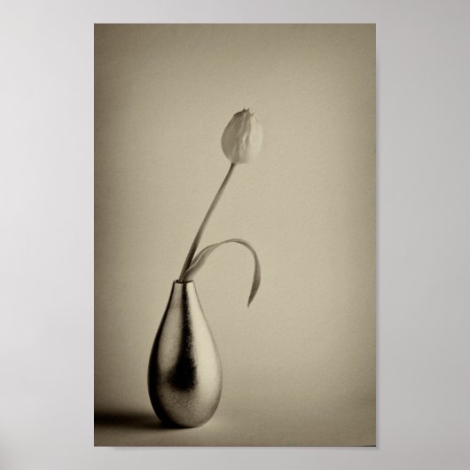 Alter sepiattonisierter Tulpe in Vase Poster (Vorne)