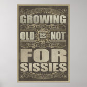 alter Spaß Poster (Vorne)