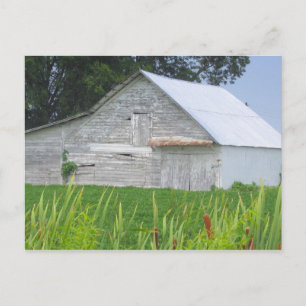 Alter Stall auf einem grünen Feld Postkarte