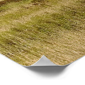 Alter Stall auf einem Landhaus Poster (Ecke)