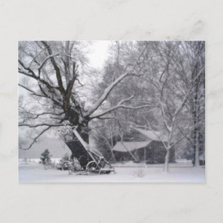 Alter Stall & Eichenbaum im Foto des Winterschnees Postkarte