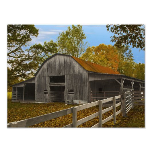 Alter Stall Fotodruck (Vorne)