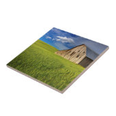 Alter Stall im Feld der Frühlingsweide Fliese (Seite)