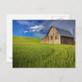 Alter Stall im Feld der Frühlingsweide Postkarte (Vorne/Hinten)