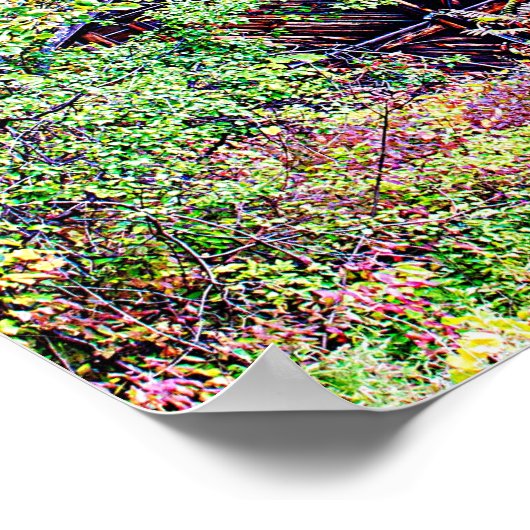 Alter Stall im Herbst Poster (Ecke)