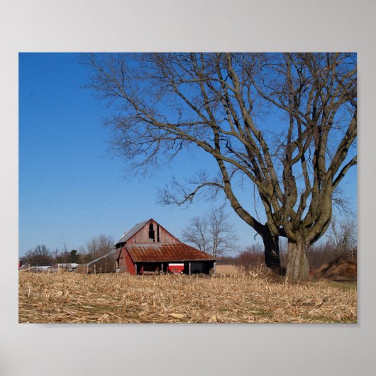 Alter Stall in Illinois USA Canvas Print Poster (Vorne)