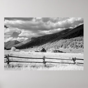 Alter Stall Poster