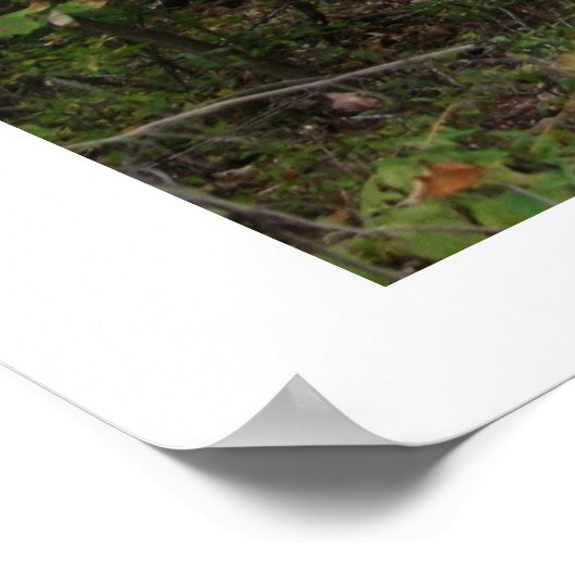 Alter Stall Poster (Ecke)