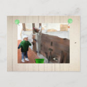 Alter Stall Postkarte (Vorderseite)