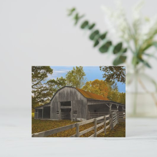 Alter Stall Postkarte (Stehend Vorderseite)