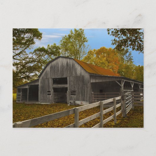 Alter Stall Postkarte (Vorderseite)